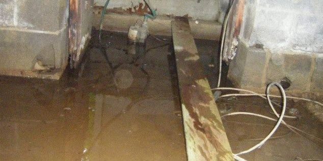 dank basement