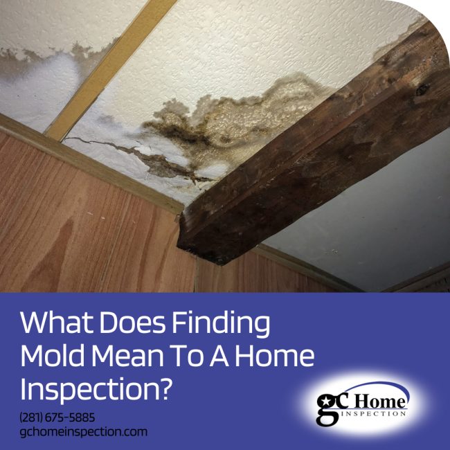 What Does Finding Mold Mean To A Home Inspection?