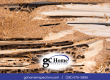 Termite damage inspection in Pearland TX showing severe wood destruction caused by active termite infestation